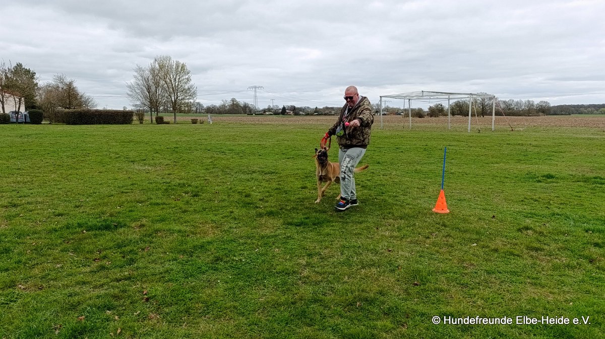 2026-04-03 Eierlauf 12
