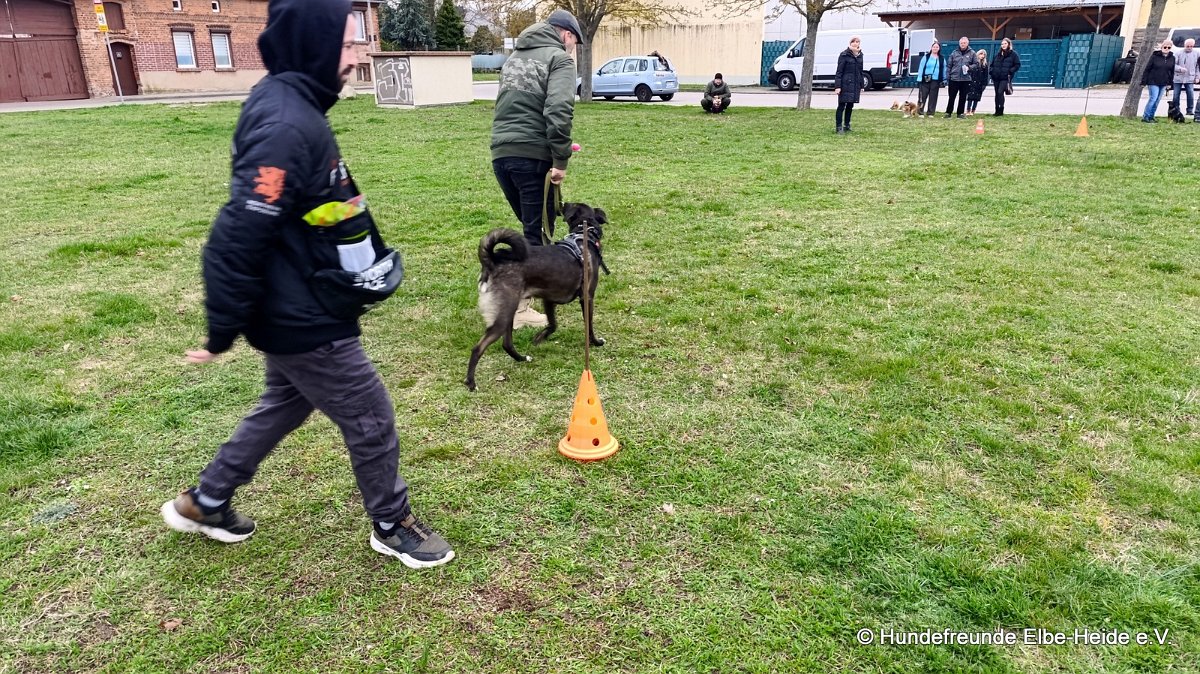 2026-04-03 Eierlauf 26