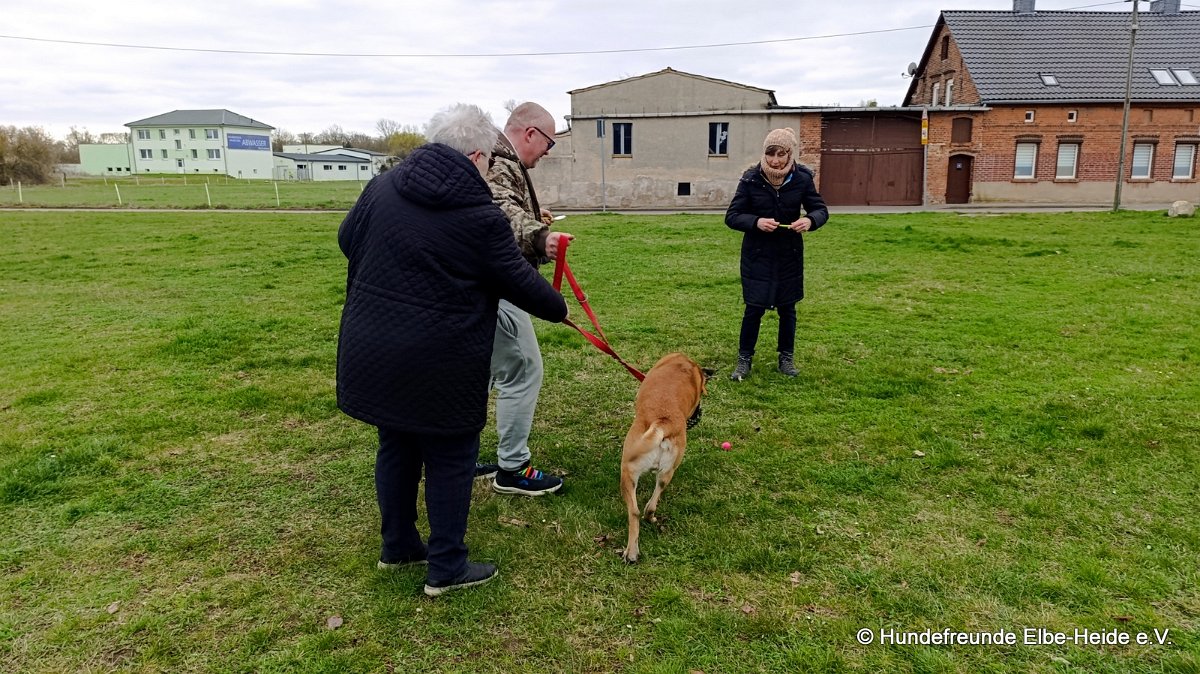 2026-04-03 Eierlauf 30