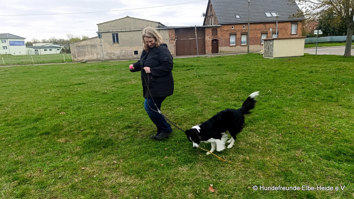 2026-04-03 Eierlauf 35