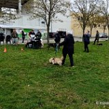 2026-04-03 Eierlauf 07