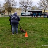 2026-04-03 Eierlauf 19