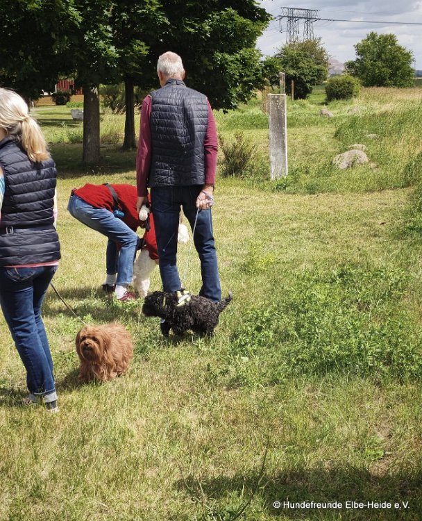 2026-06-13 Hunderennen 01