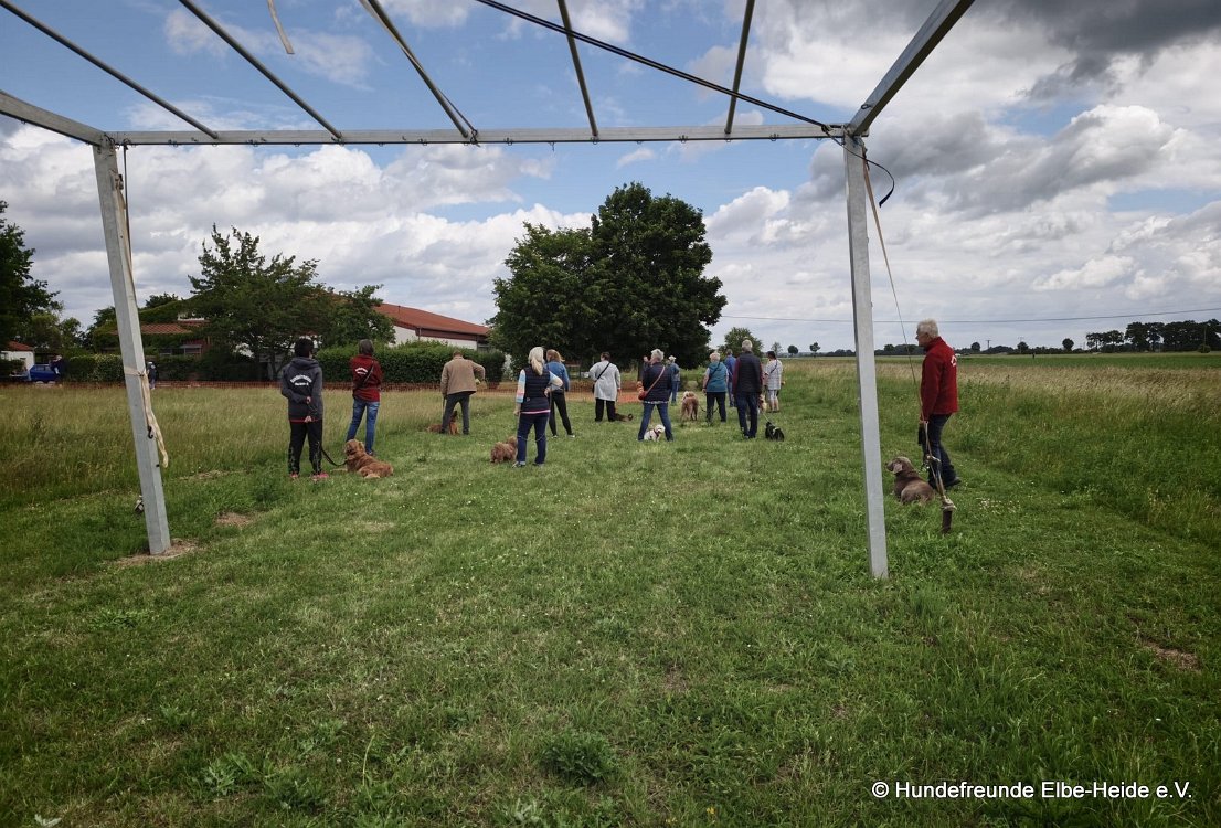 2026-06-13 Hunderennen 02