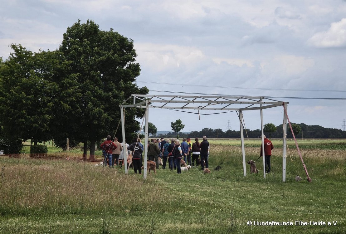 2026-06-13 Hunderennen 05