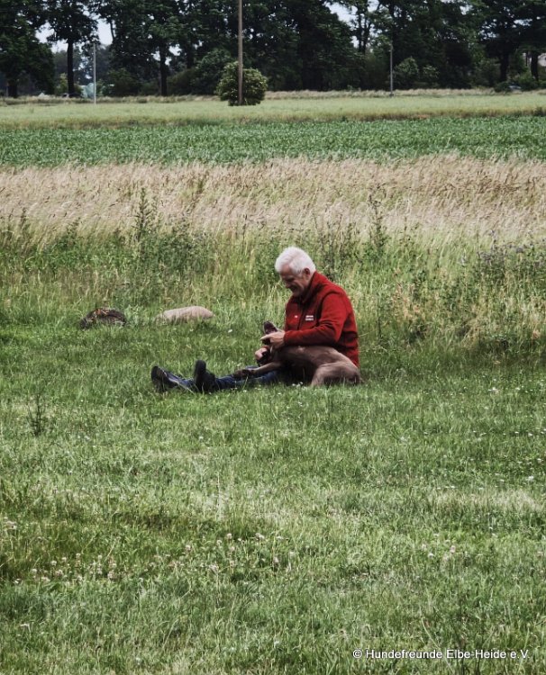 2026-06-13 Hunderennen 07