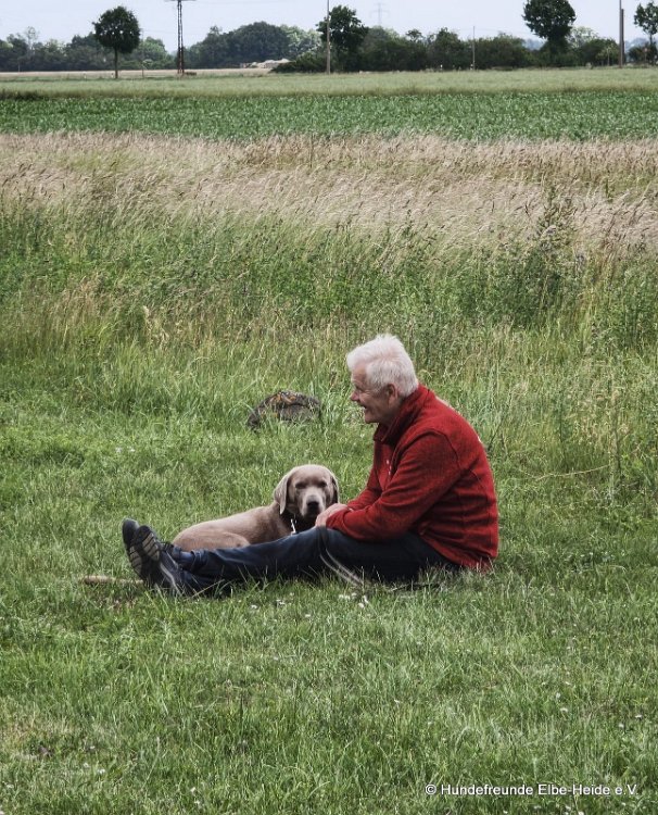 2026-06-13 Hunderennen 08