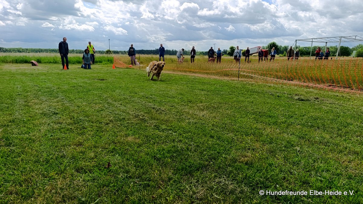 2026-06-13 Hunderennen 10