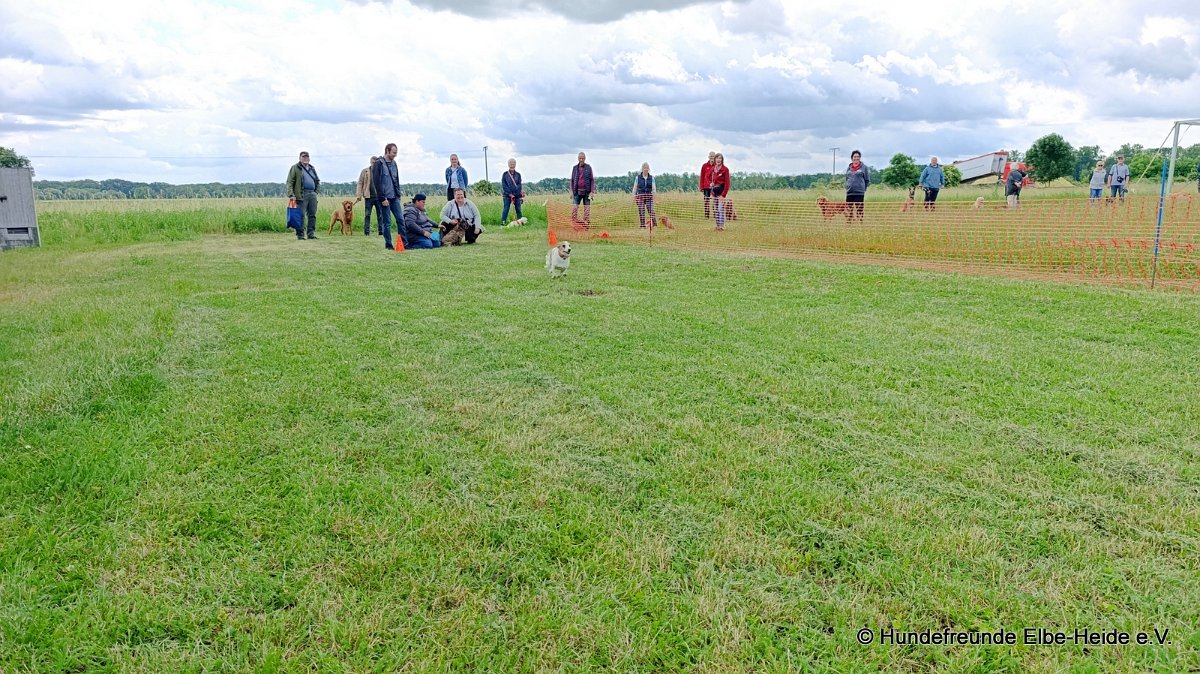 2026-06-13 Hunderennen 17
