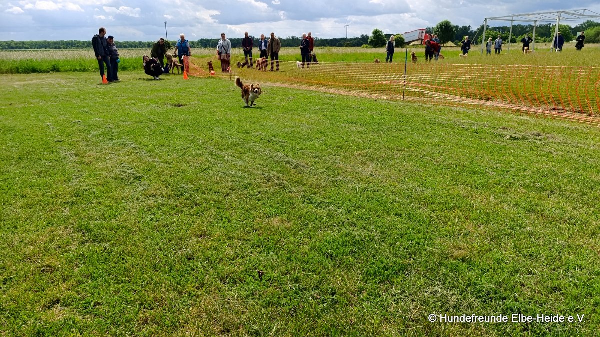 2026-06-13 Hunderennen 20
