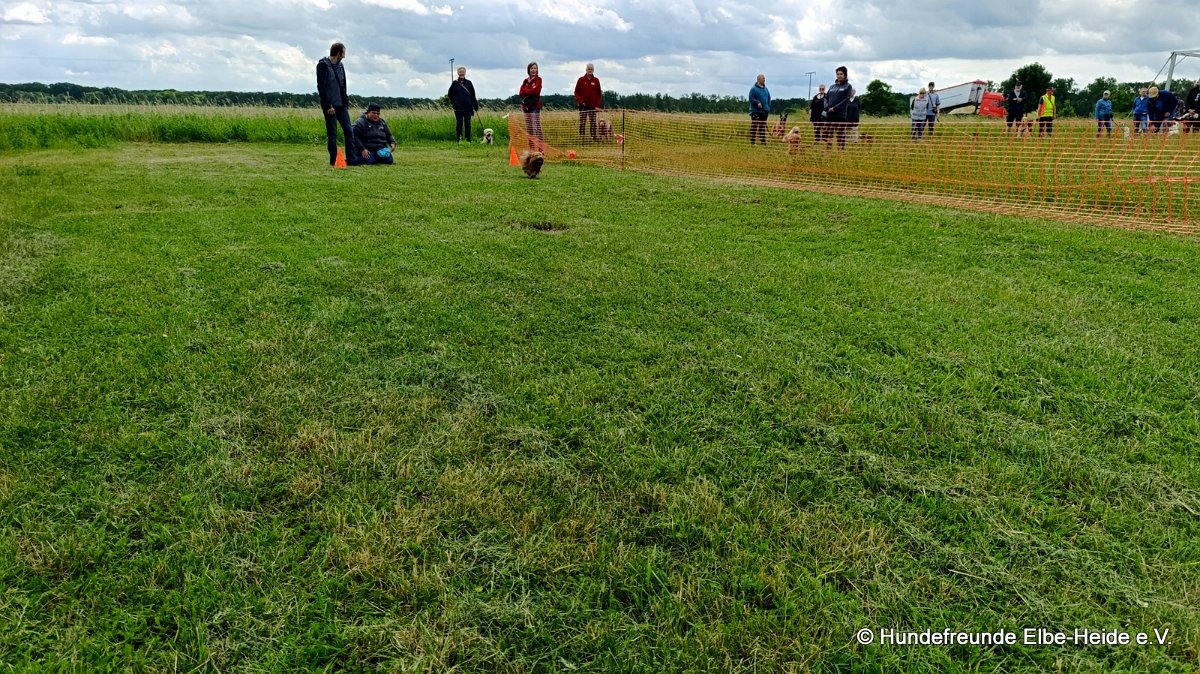 2026-06-13 Hunderennen 22