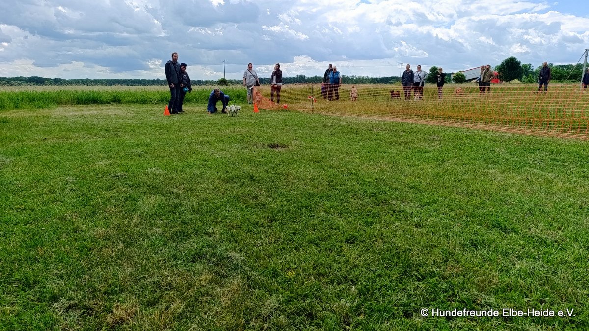 2026-06-13 Hunderennen 24
