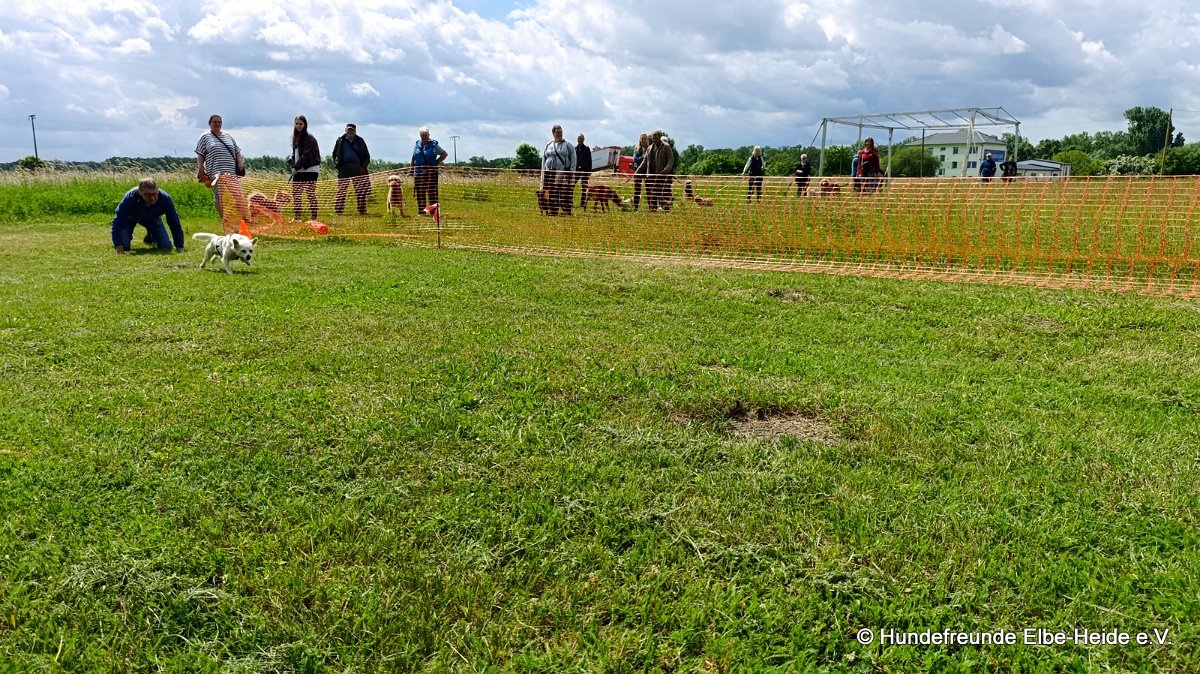 2026-06-13 Hunderennen 25