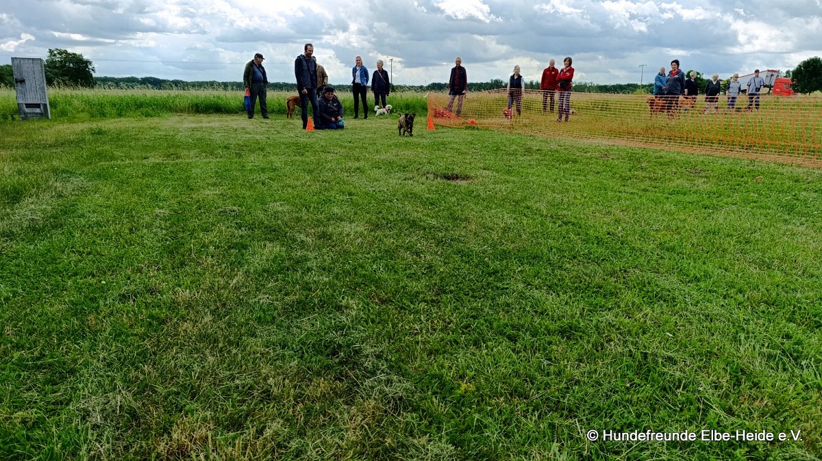 2026-06-13 Hunderennen 26