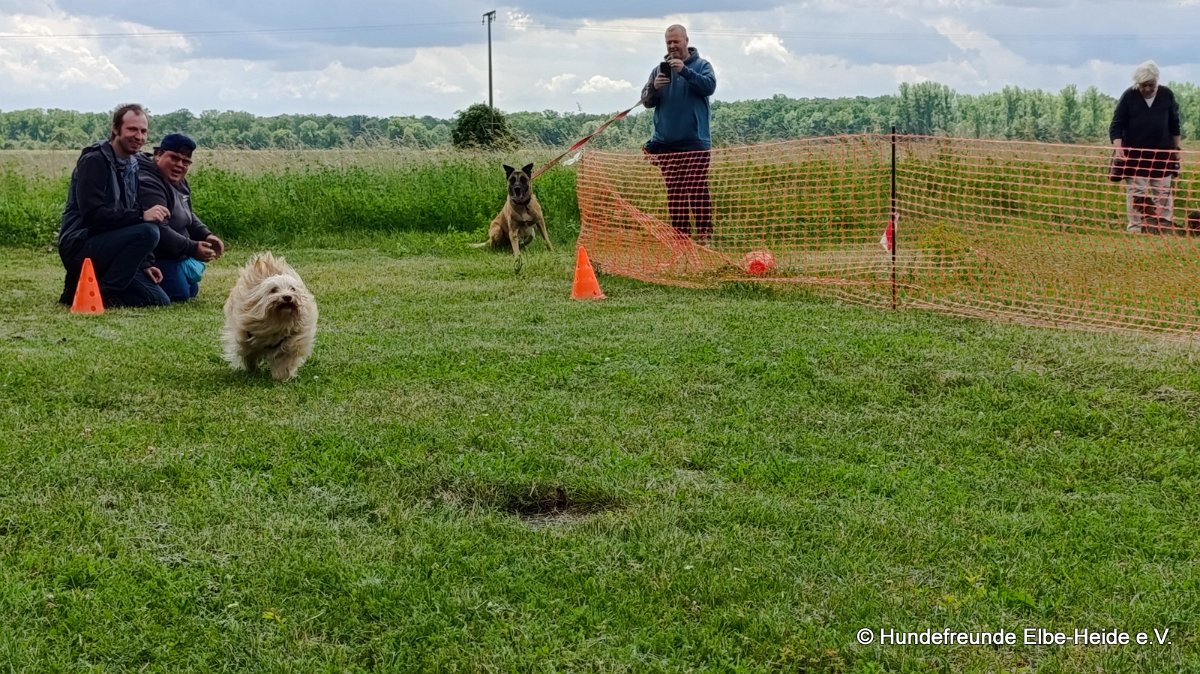 2026-06-13 Hunderennen 28