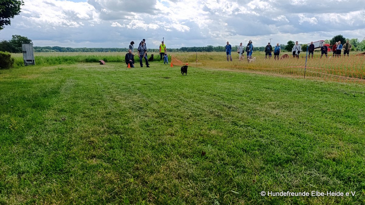 2026-06-13 Hunderennen 29