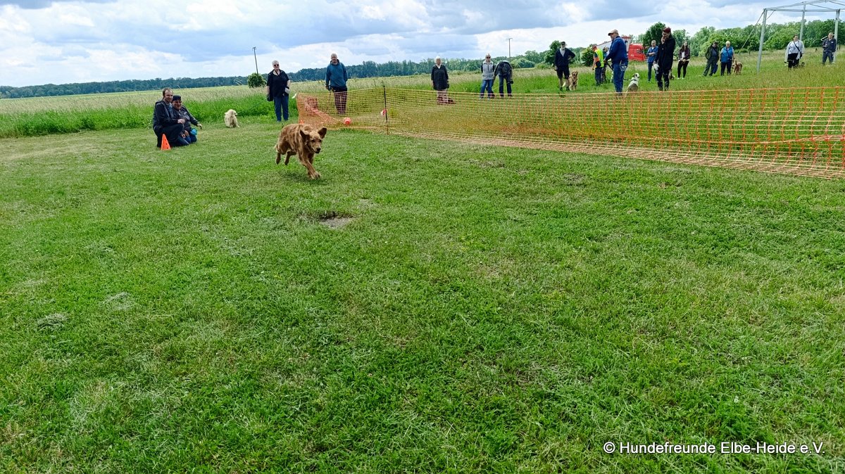 2026-06-13 Hunderennen 31