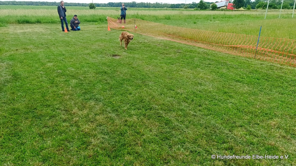 2026-06-13 Hunderennen 32