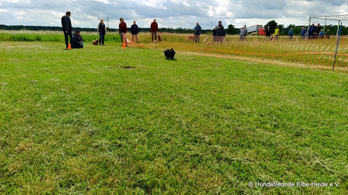 2026-06-13 Hunderennen 34
