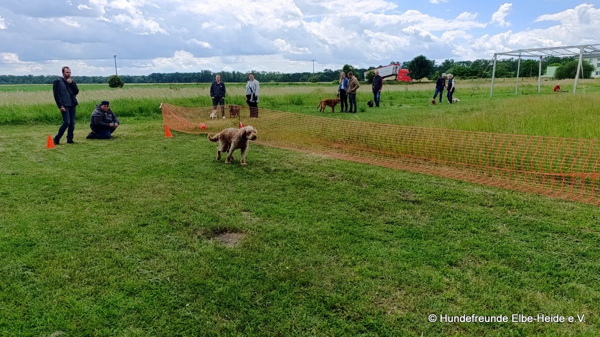 2026-06-13 Hunderennen 36