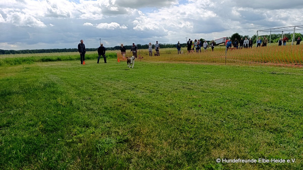 2026-06-13 Hunderennen 40
