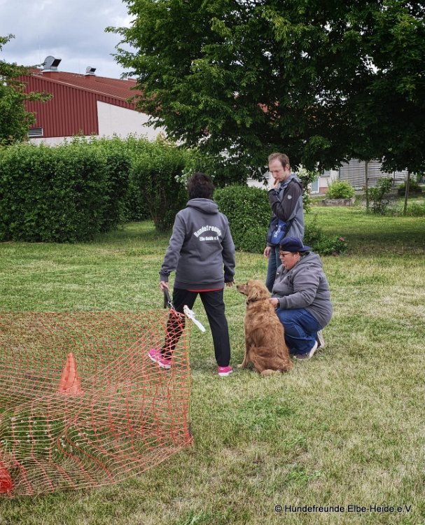 2026-06-13 Hunderennen 41