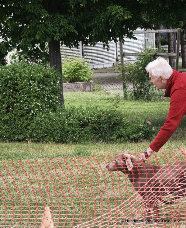 2026-06-13 Hunderennen 43