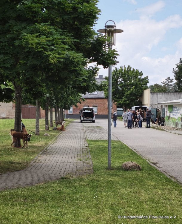 2026-06-13 Hunderennen 45