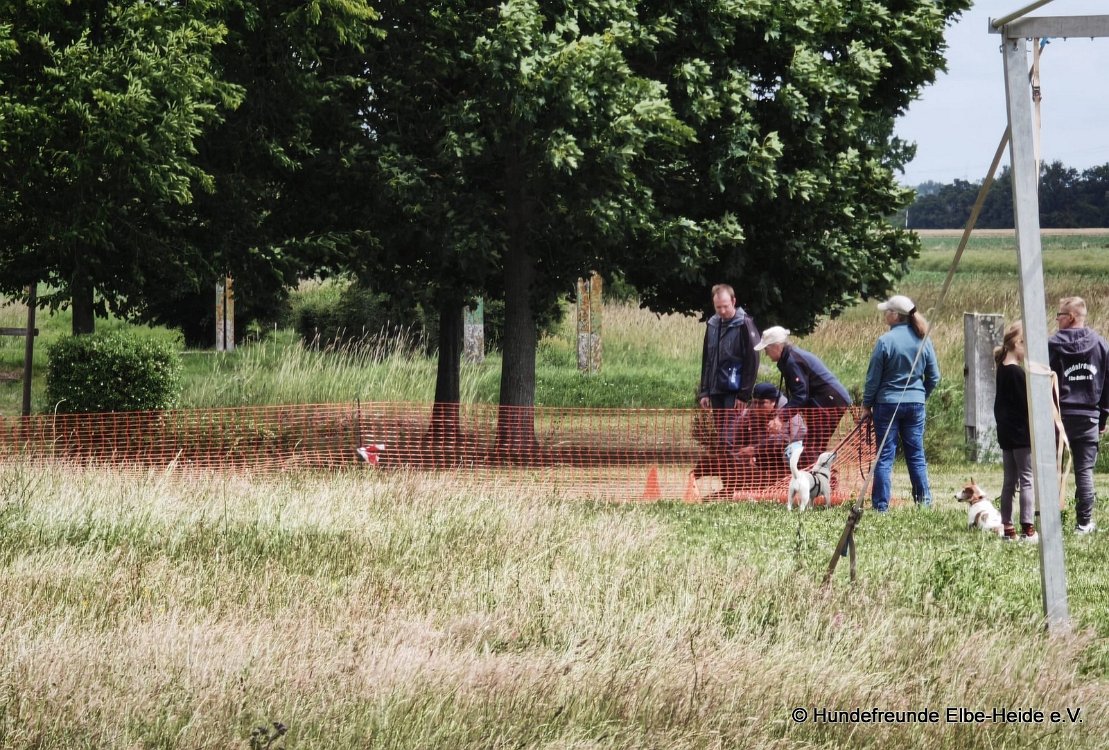 2026-06-13 Hunderennen 46