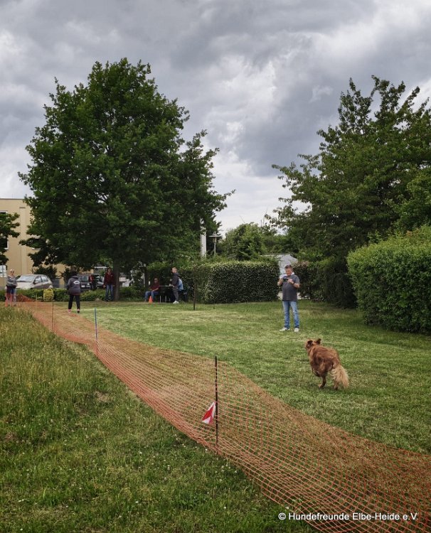 2026-06-13 Hunderennen 49