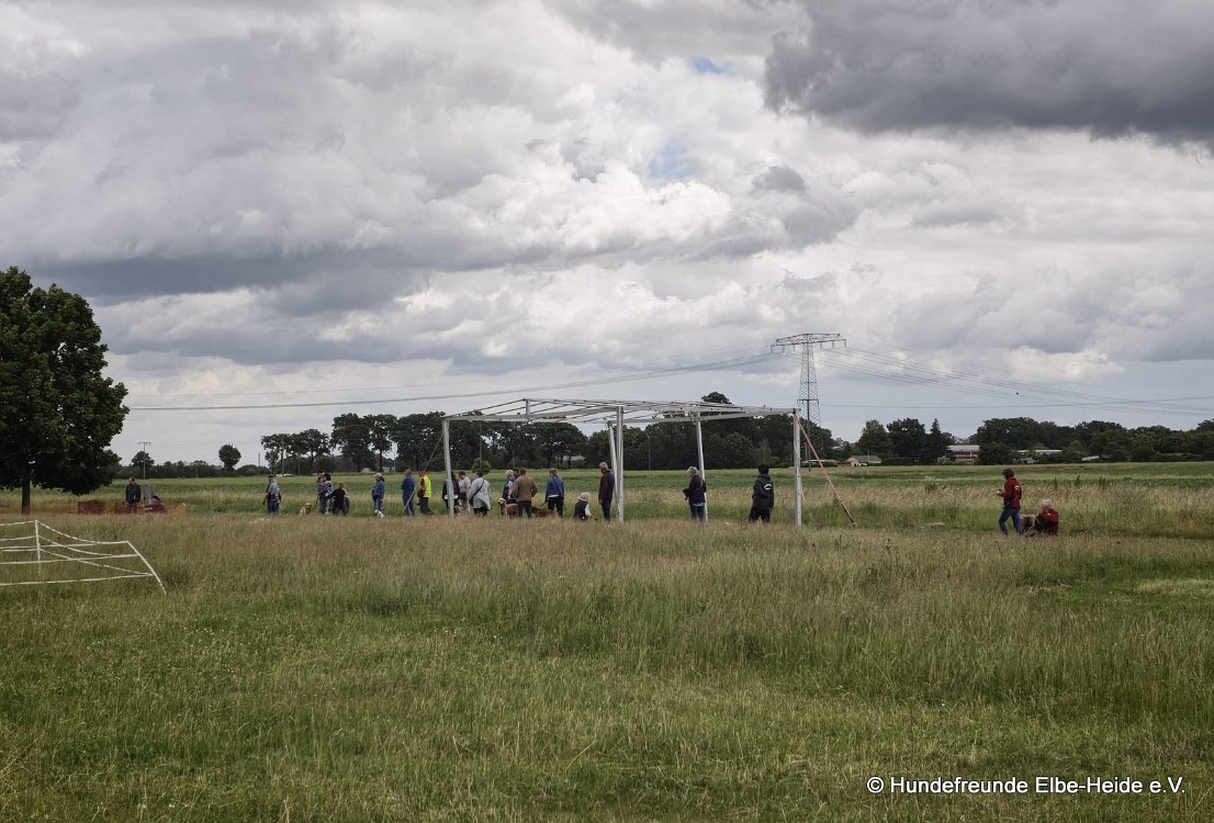 2026-06-13 Hunderennen 50