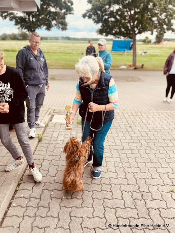 2026-06-13 Hunderennen 55