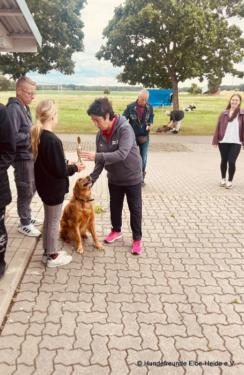 2026-06-13 Hunderennen 60