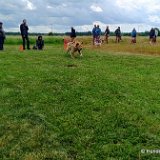 2026-06-13 Hunderennen 09