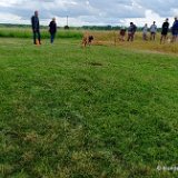 2026-06-13 Hunderennen 11