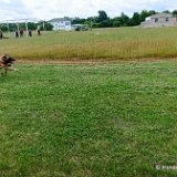 2026-06-13 Hunderennen 12