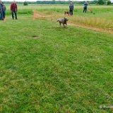2026-06-13 Hunderennen 14