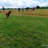 2026-06-13 Hunderennen 16