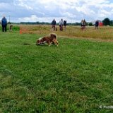 2026-06-13 Hunderennen 19