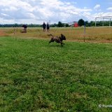 2026-06-13 Hunderennen 27