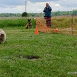 2026-06-13 Hunderennen 28