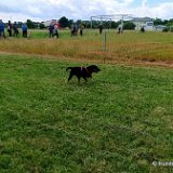 2026-06-13 Hunderennen 30