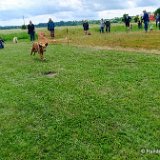 2026-06-13 Hunderennen 31