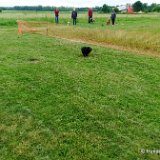 2026-06-13 Hunderennen 35