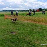2026-06-13 Hunderennen 36