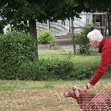2026-06-13 Hunderennen 43