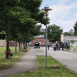 2026-06-13 Hunderennen 45