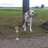 2026-06-13 Hunderennen 51