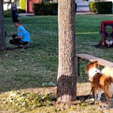 2026-08-01 Sommerfest 26
