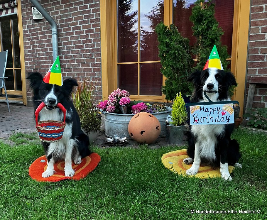 2025-08-02 Sommerfest u. 10. Geb 00 Fiona u. Tomte